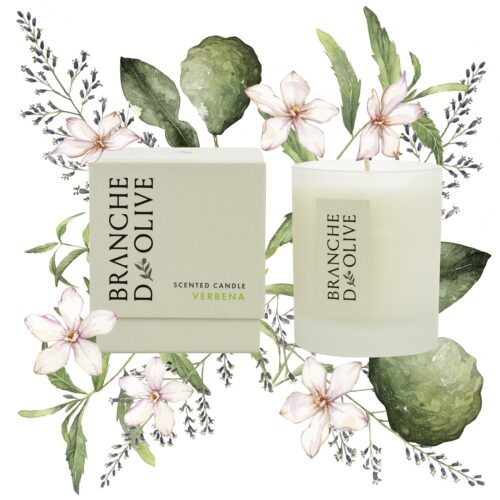 Branche d'Olive's Verbena candle shown boxed and unboxed, pictured in front of a hand drawn illustration of the fragrance's constituent elements