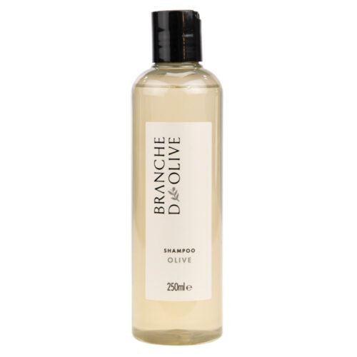 Bottle of Branche d'Olive Olive fragrance Shampoo