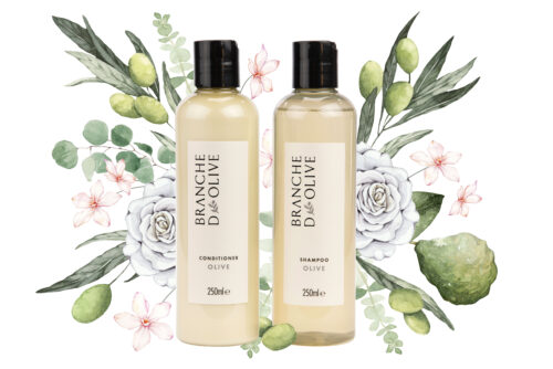 Branch d'Olive's luxury shampoo and conditioner in Olive set in front of an Ella Sienna pictorial illustration of the fragrance