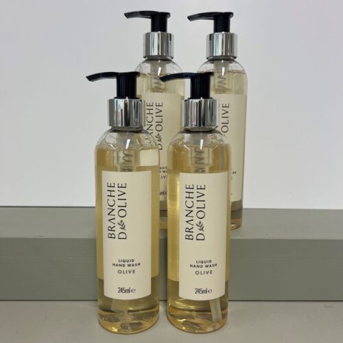 Branche d'Olive Olive hand wash in old packaging