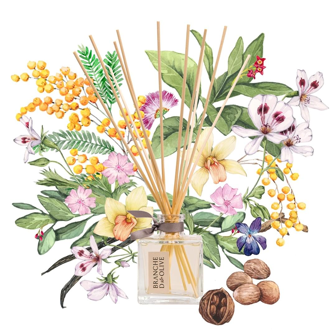 Branche d'Olive unboxed large Feather diffuser shown in front of pictorial representation of the fragrance.