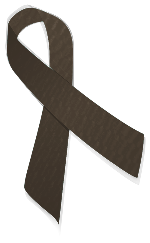 olive wood ribbon